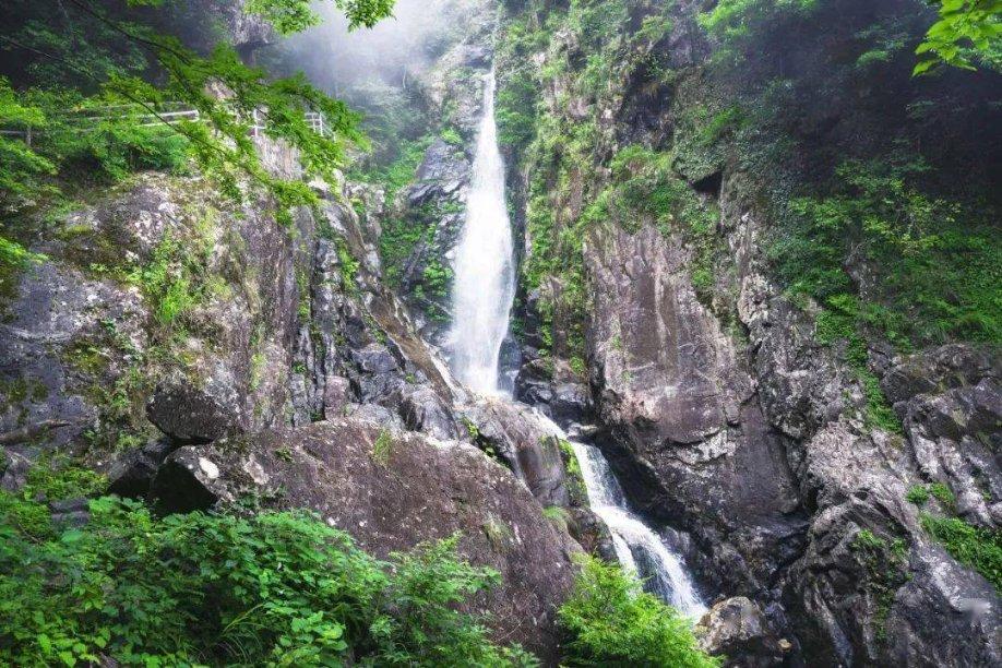 青岛高新区：动力激荡 向“新”而行